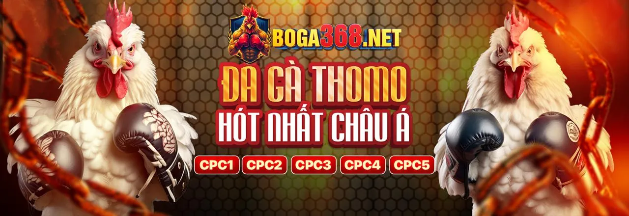 Đá gà VB77 online với giao diện đẹp mắt